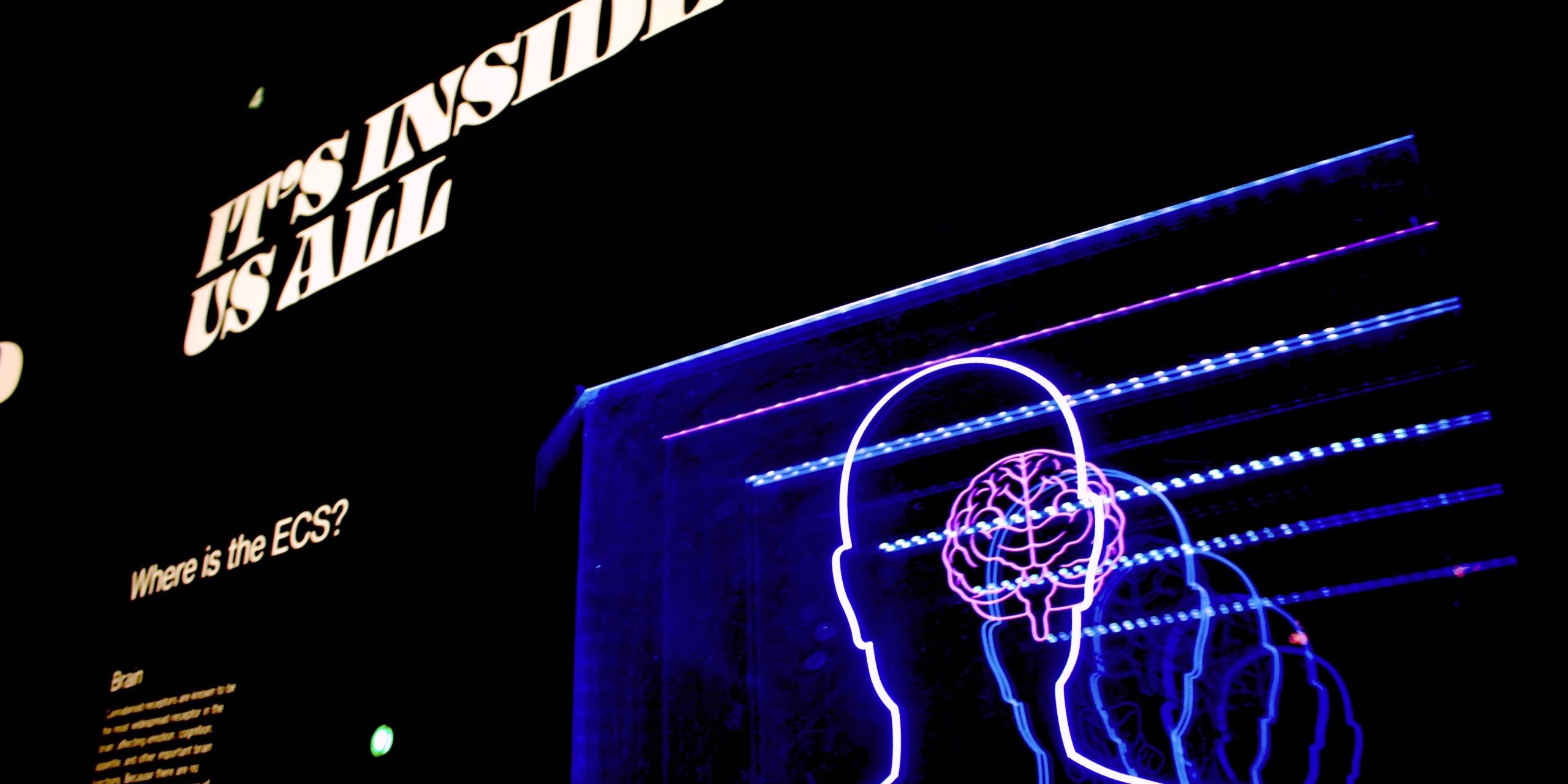 Marketing Olfativo l La influencia del olor sobre la memoria